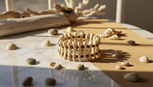 Load image into Gallery viewer, Ivory Bracelet Boho Style Fossil Shell Bangle