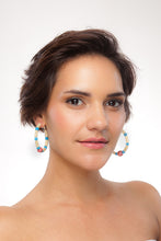 Load image into Gallery viewer, Puerto Rico Earring Hoops - Sasha L JEWELS LLC